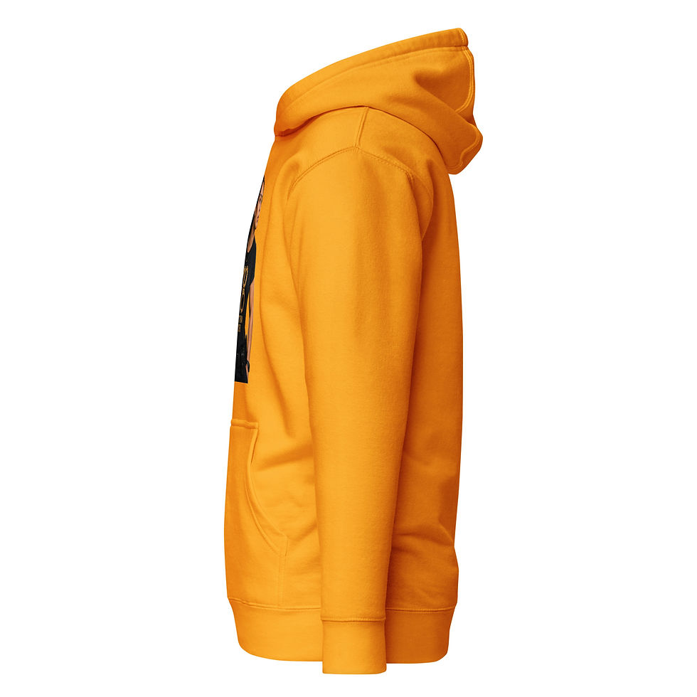 Thumbnail: YO C/O Officer Correctional Apparel Premium Hoodie – Design 6