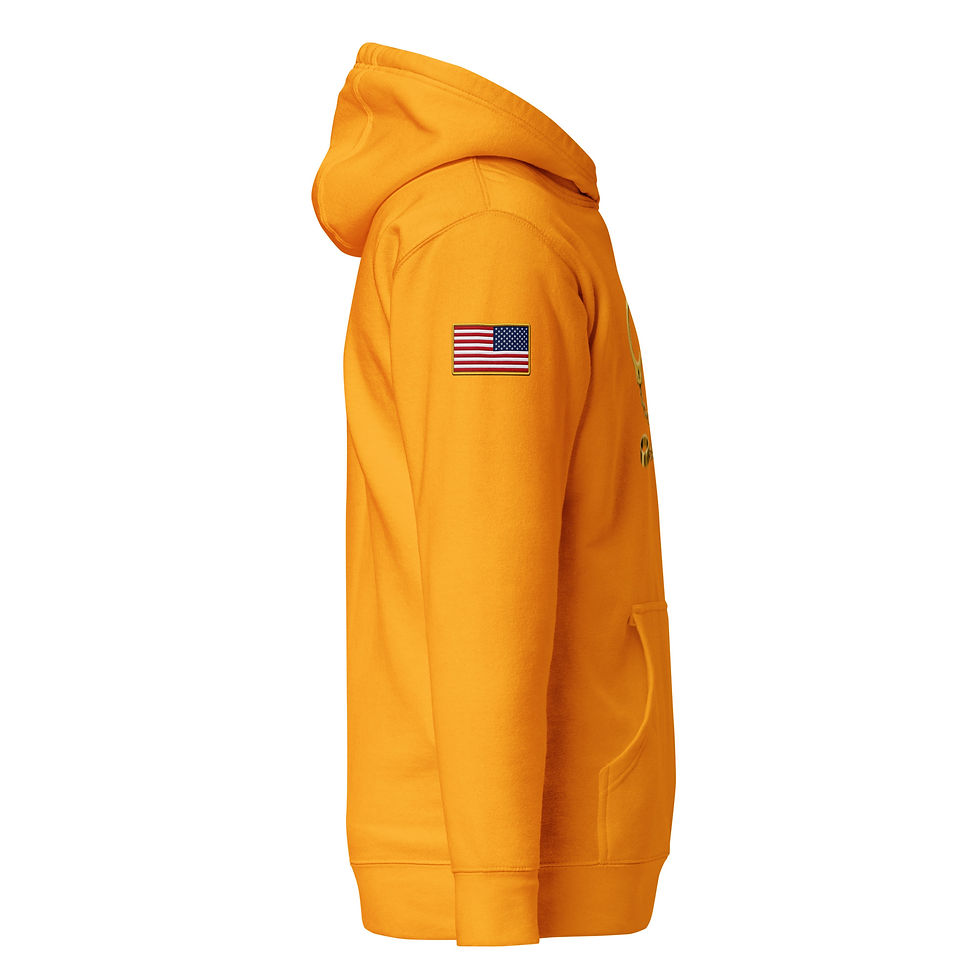Thumbnail: Correctional Apparel CTU CTU Gold Logo USA Flag Unisex Hoodie