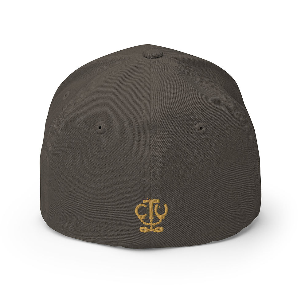 Thumbnail: Correctional Apparel CTU Gold logo Embroidered Twill Cap