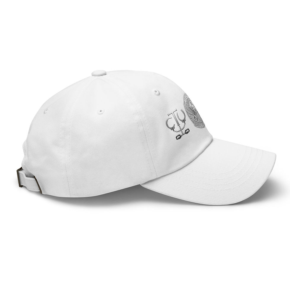 Thumbnail: Arctic Master Correction Officer| CTU| FTU Career hat