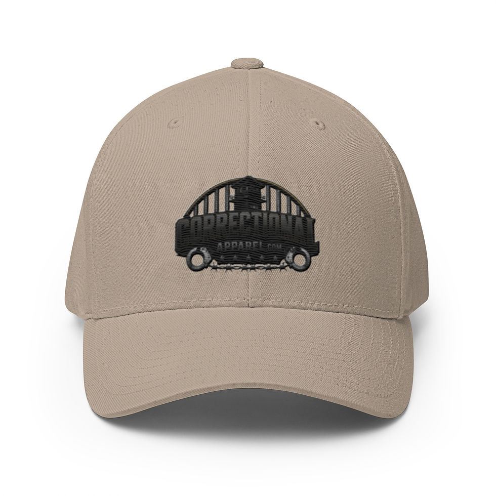 Thumbnail: Correctional Apparel Stealth Logo Embroidered Twill Cap