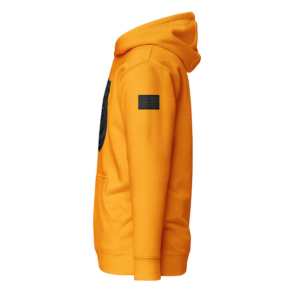 Thumbnail: Correctional Apparel CTU Blue Stealth logo Flag Unisex Hoodie
