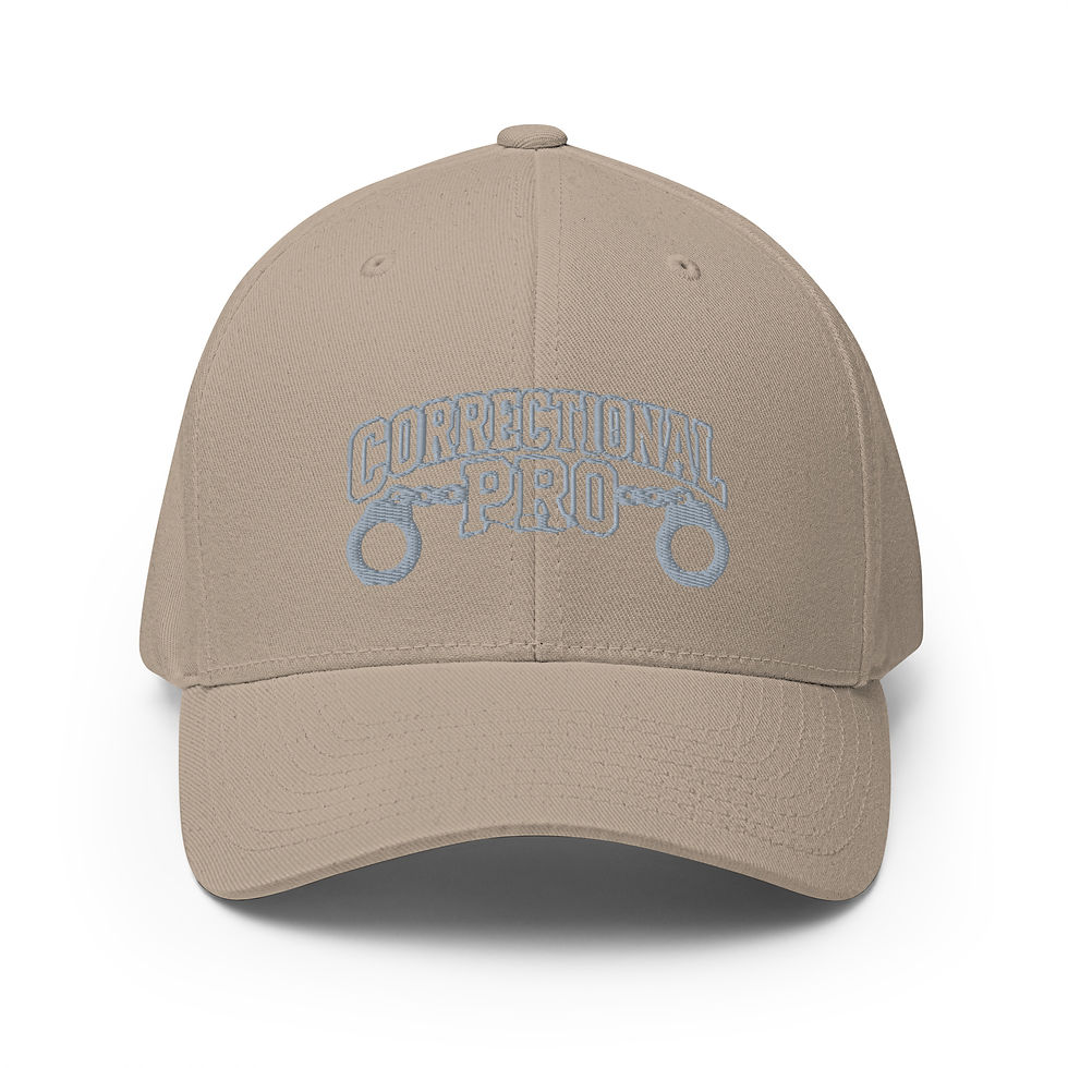 Thumbnail: Correctional Pro logo Silver Outlined Embroidered USA Twill Cap