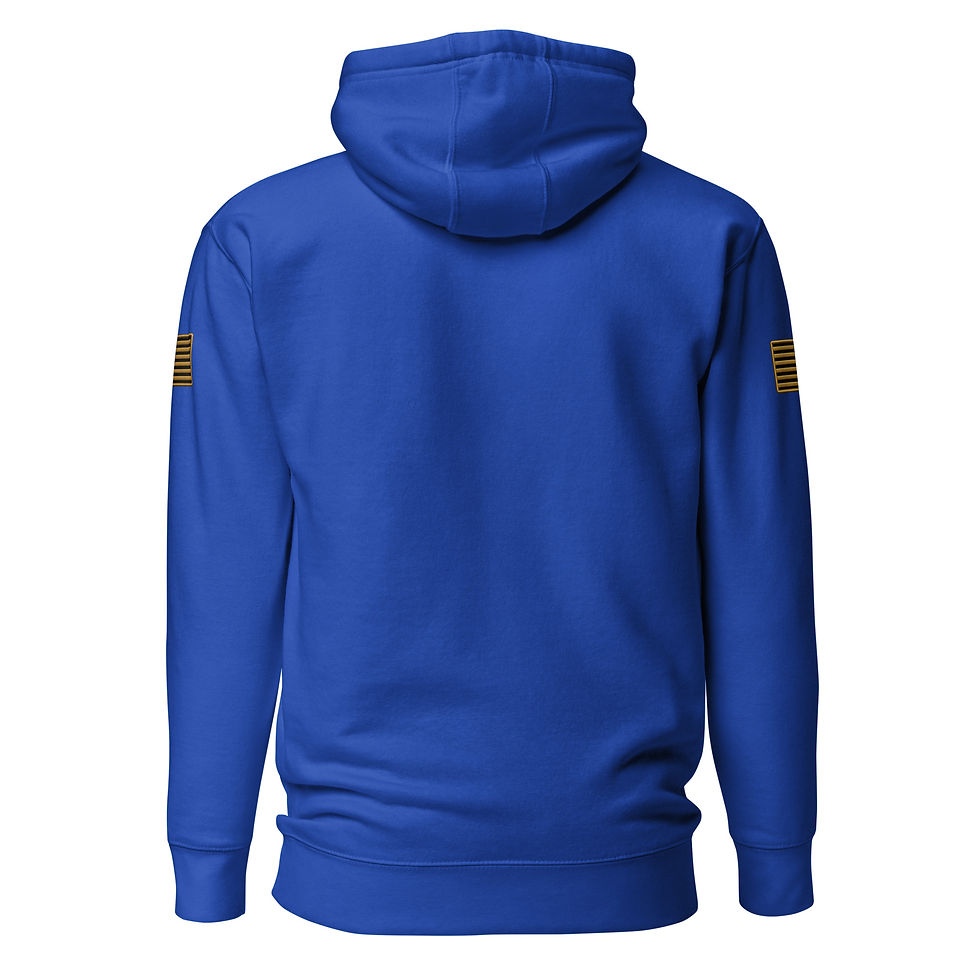 Thumbnail: Correctional Apparel FTU FTU Gold Logo Flag Unisex Hoodie