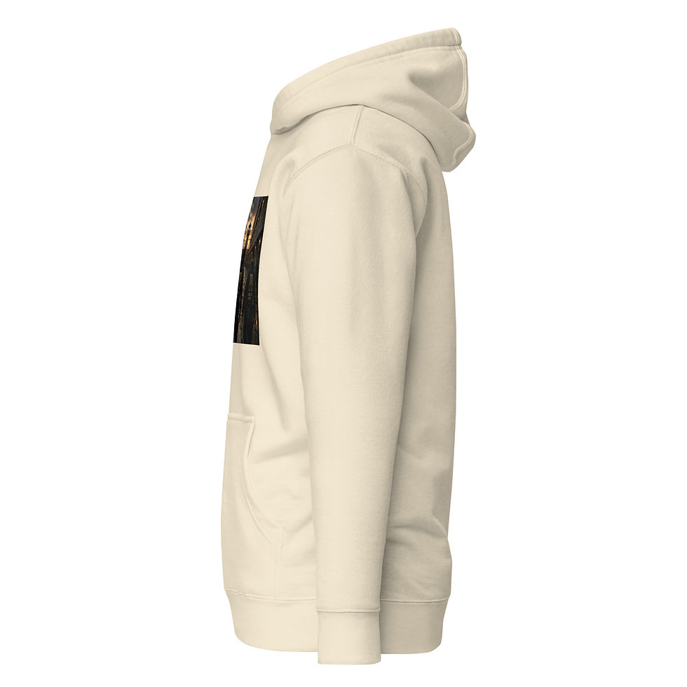 Thumbnail: YO C/O Compound Correctional Officer Premium Hoodie
