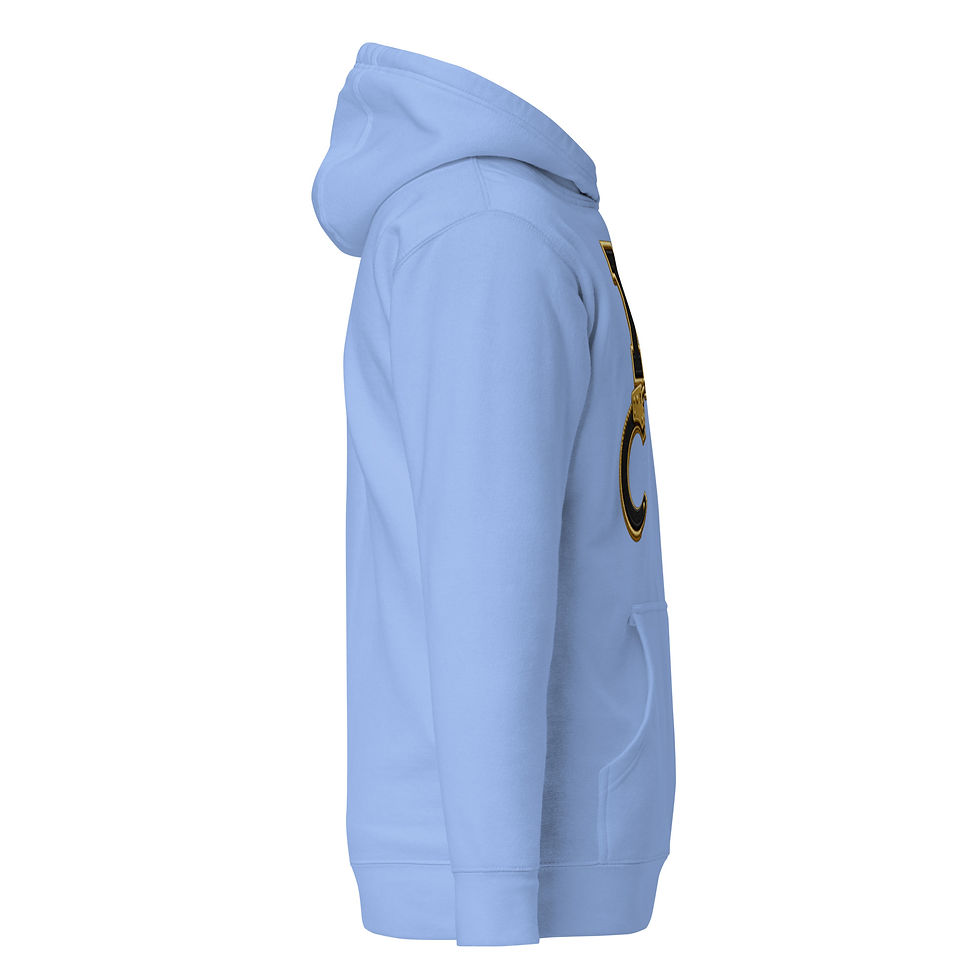 Thumbnail: YO C/O Black & Gold Logo Correctional Officer Hoodie