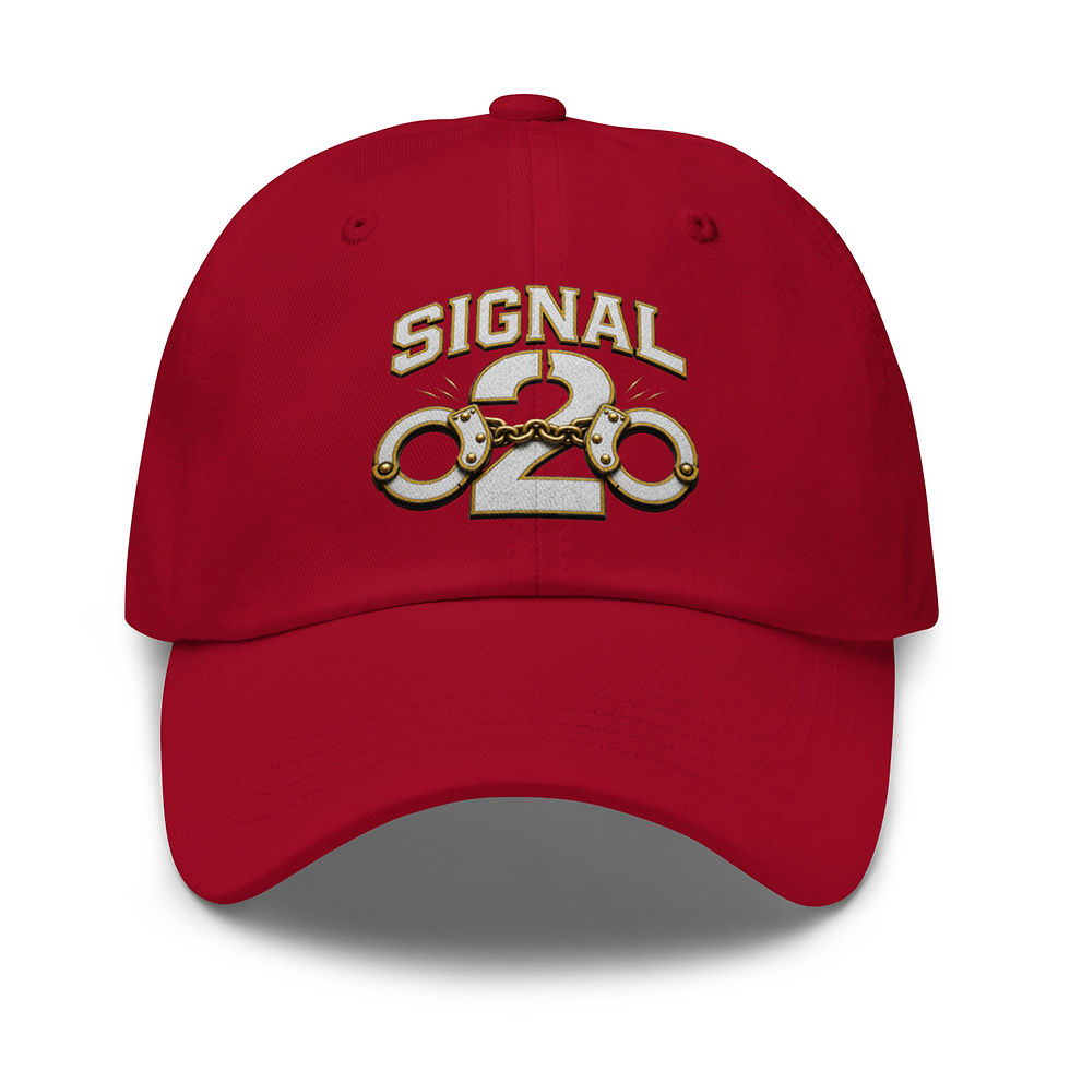 Thumbnail: Correctional Apparel Signal 2 Security Division hat