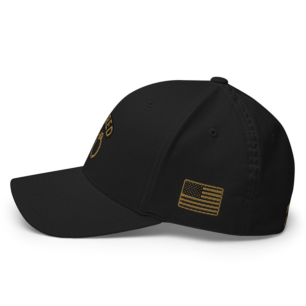 Thumbnail: Retired Arched Old Gold/Black C/O Logo Cap