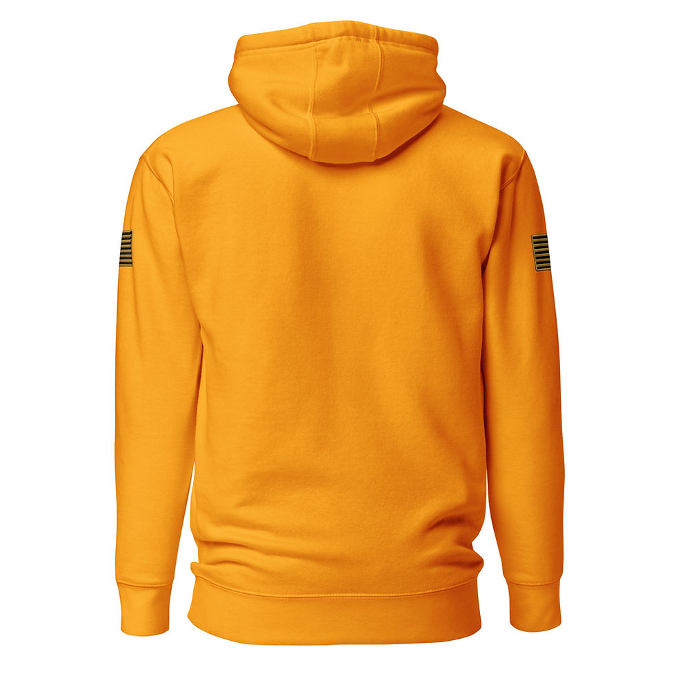 Thumbnail: Correctional Apparel FTU FTU Gold Logo Flag Unisex Hoodie