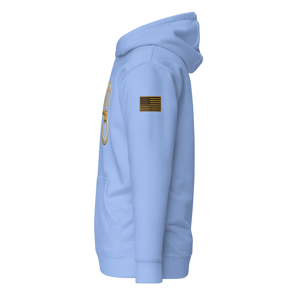 Thumbnail: YO C/O Silver/Gold logo Flag Unisex Hoodie
