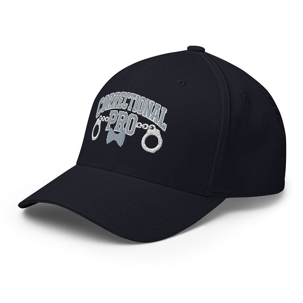 Thumbnail: Correctional Pro Logo Silver/White Embroidered Twill Cap