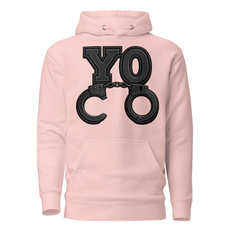 Thumbnail: YO C/O Stealth Logo Correctional Officer Premium Hoodie
