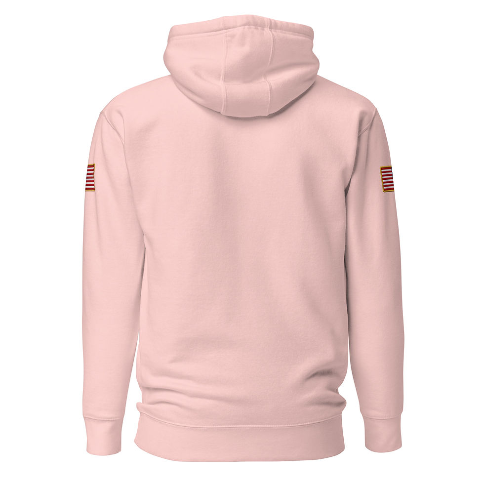 Thumbnail: Correctional Apparel CTU logo Flag Unisex Hoodie
