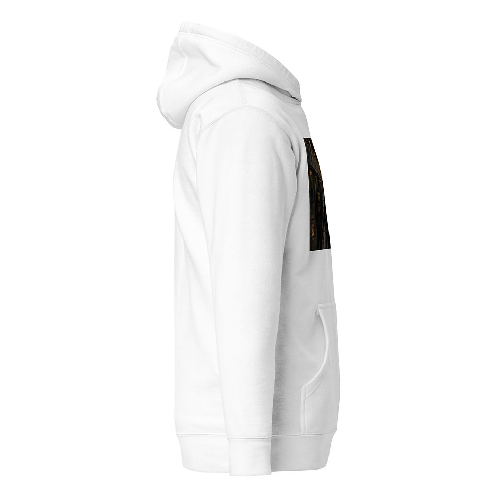 Thumbnail: YO C/O Compound Correctional Officer Premium Hoodie