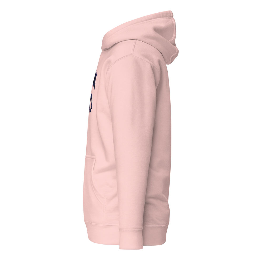 Thumbnail: Correctional Pro FTU Unisex Hoodie