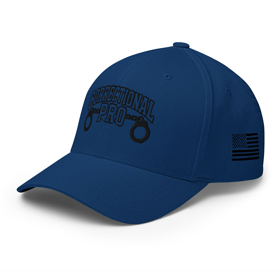 Thumbnail: Correctional Pro logo Stealth Outlined Embroidered USA Twill Cap