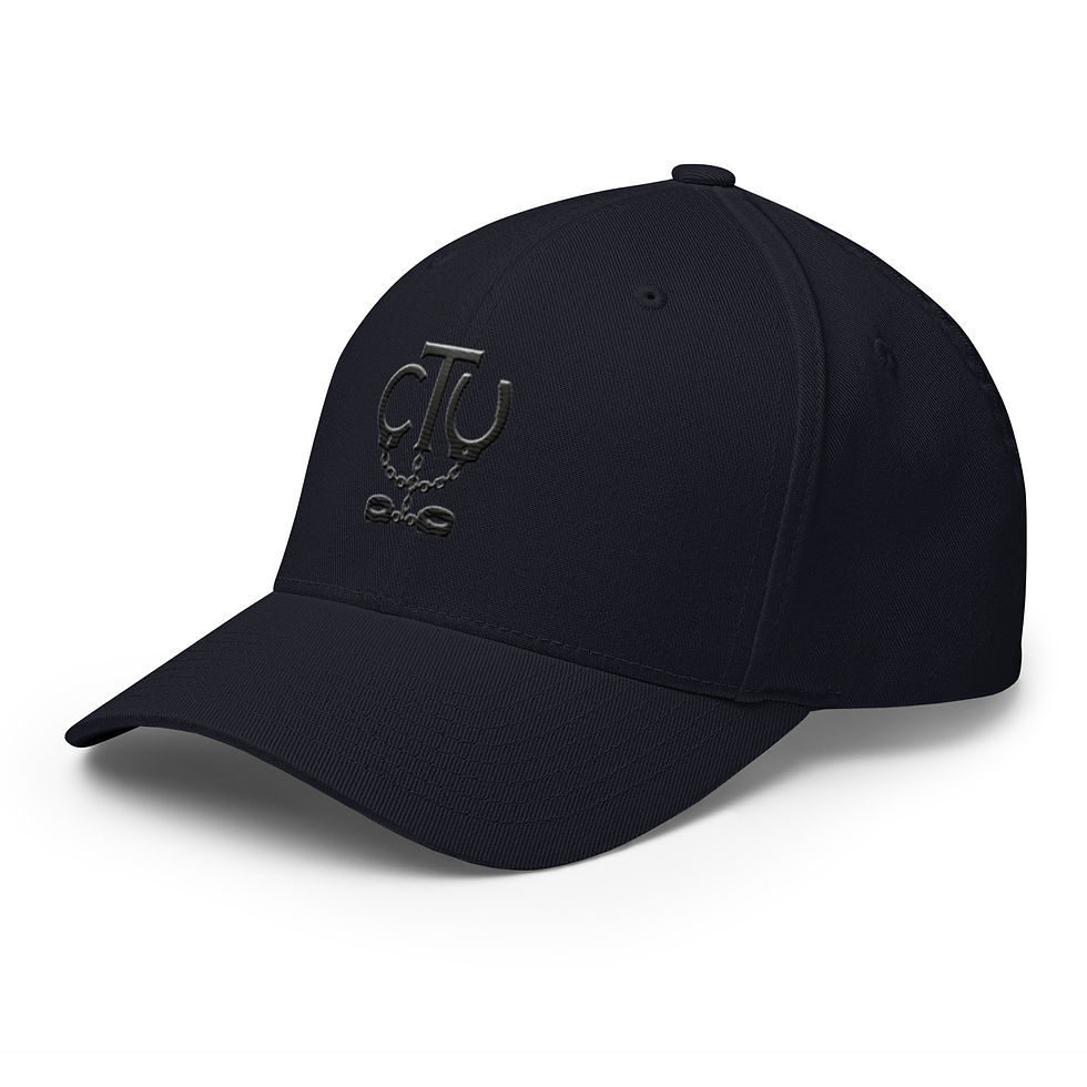 Thumbnail: Correctional Apparel Stealth CTU Logo Embroidered Twill Cap