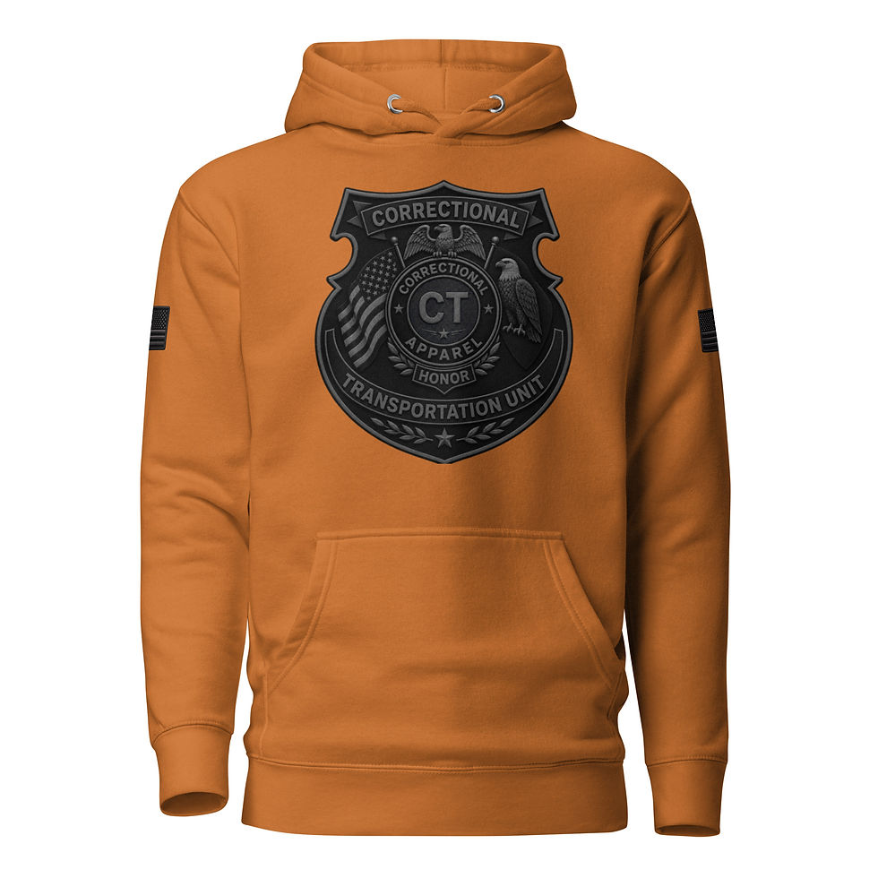 Thumbnail: Correctional Apparel CTU Stealth logo Flag Unisex Hoodie