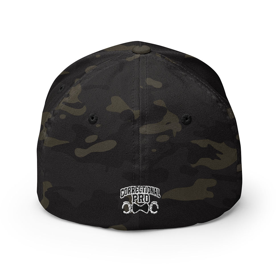 Thumbnail: Retired Premier DOC CT Logo Alt Cap