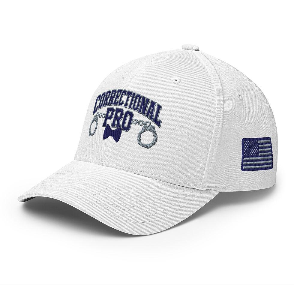 Thumbnail: Correctional Pro logo Navy/Silver Embroidered USA Twill Cap