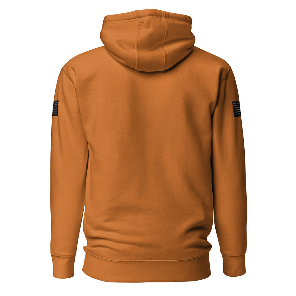 Thumbnail: Correctional Apparel FTU FTU Stealth Logo Flag Unisex Hoodie