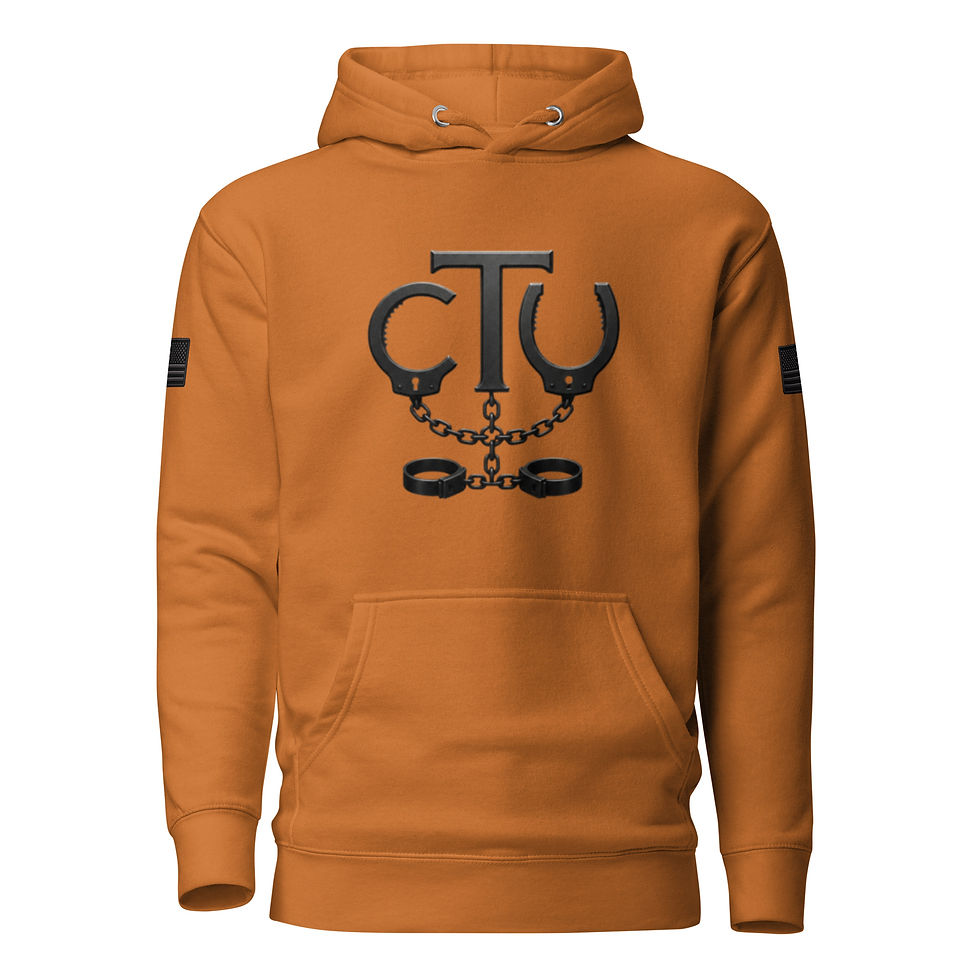 Thumbnail: Correctional Apparel CTU CTU Stealth Logo Flag Unisex Hoodie