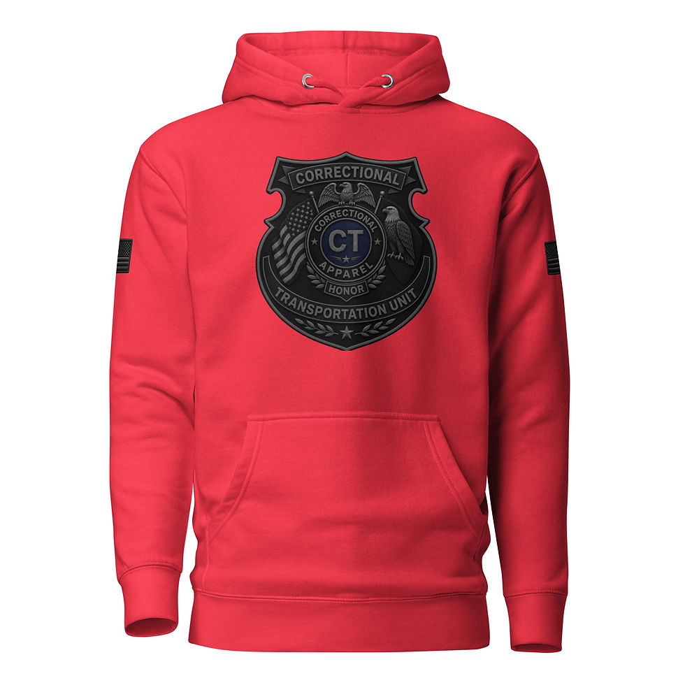Thumbnail: Correctional Apparel CTU Blue Stealth logo Flag Unisex Hoodie