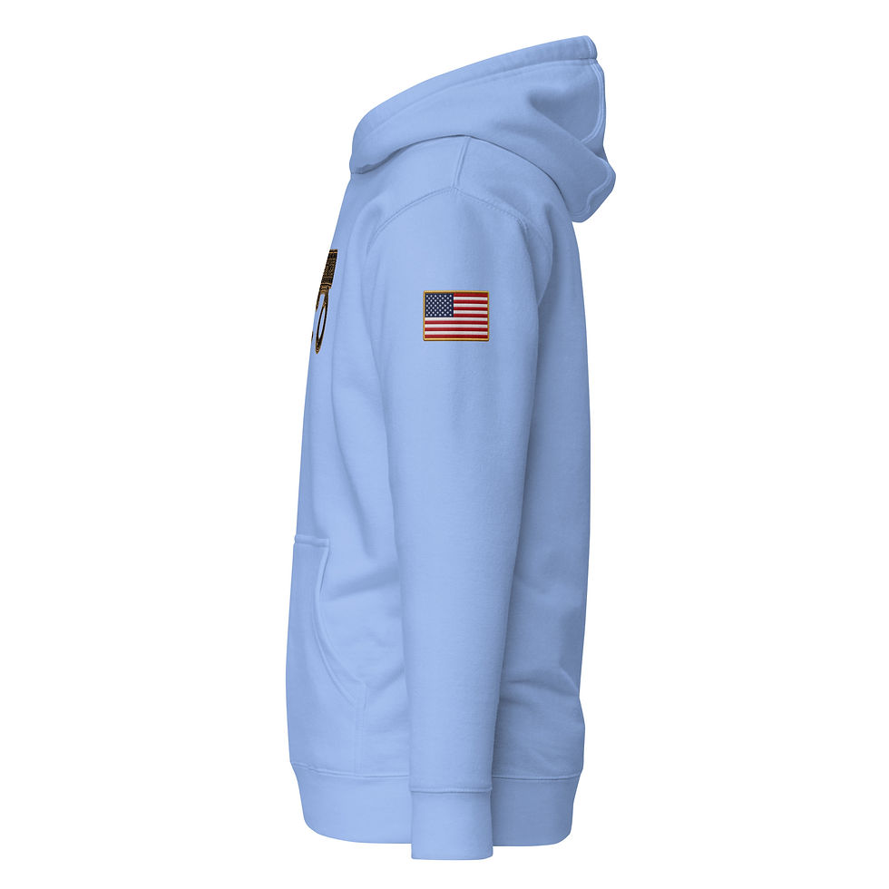 Thumbnail: YO C/O Retired Black/Gold logo USA Flag Unisex Hoodie
