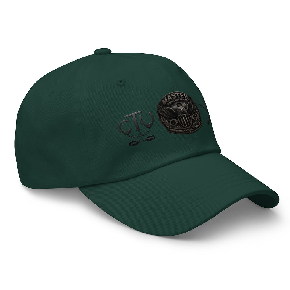 Thumbnail: Stealth Master Correction Officer| CTU| FTU Career hat