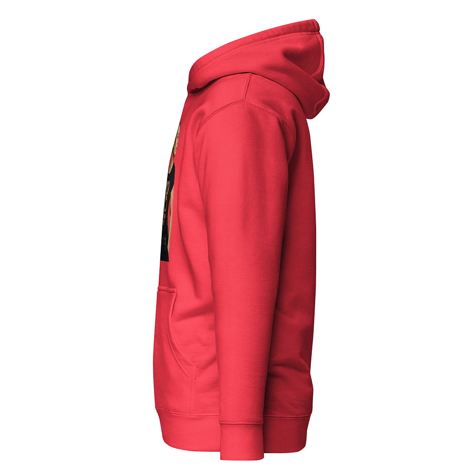 Thumbnail: YO C/O Officer Correctional Apparel Premium Hoodie – Design 4