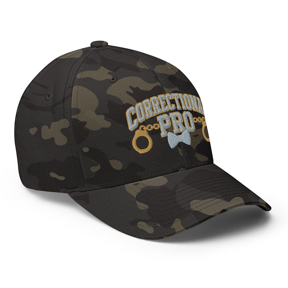 Thumbnail: Correctional Pro Logo Silver/Gold Embroidered Twill Cap