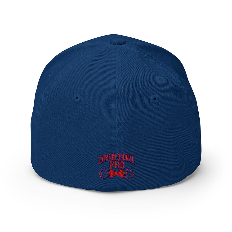 Thumbnail: Retired USA C/O Logo Cap