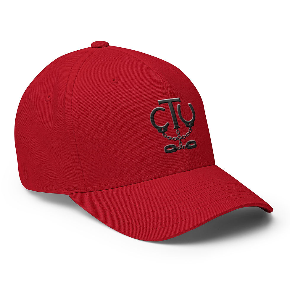 Thumbnail: Correctional Apparel Stealth CTU Logo Embroidered Twill Cap