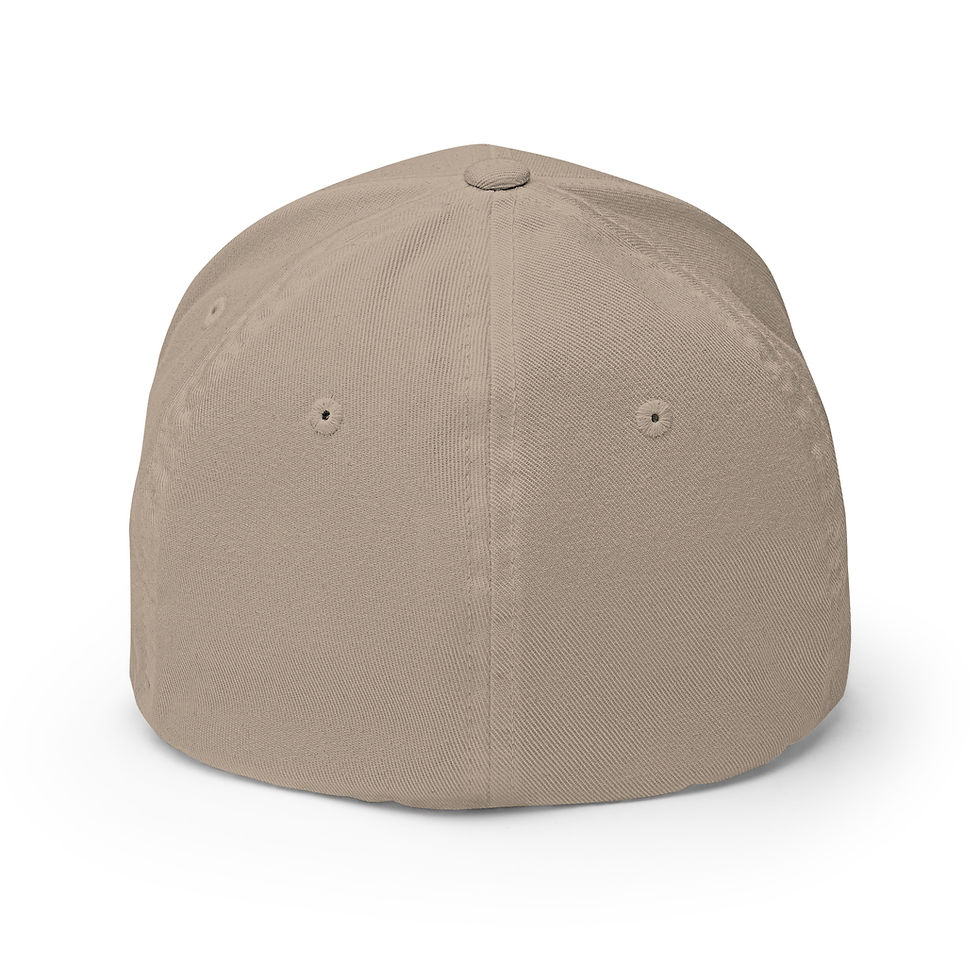 Thumbnail: C/O Retired Off duty cap Stealth