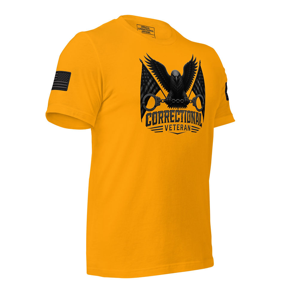 Thumbnail: Stealth Correctional Pro Veteran All American Unisex t-shirt