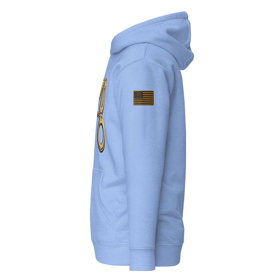 Thumbnail: YO C/O Gold Flags Correctional Officer Premium Hoodie
