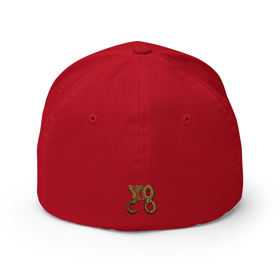 Thumbnail: YO C/O 3D FTU Logo Red/Black Embroidered Twill Cap