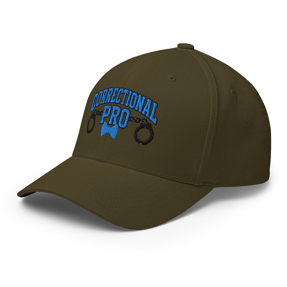 Thumbnail: Correctional Pro Logo Aqua/Black Embroidered Twill Cap