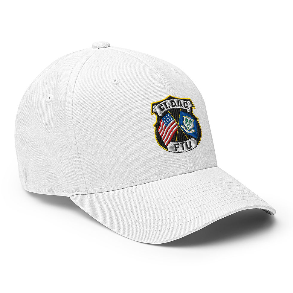 Thumbnail: Premier CT DOC FTU INSIGNIA Cap
