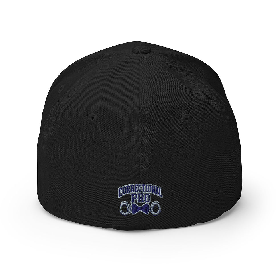 Thumbnail: Retired Arched Navy/Silver C/O Logo Cap