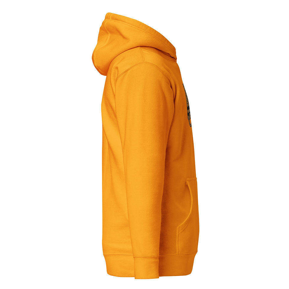 Thumbnail: Correctional Pro Veteran Legacy Unisex Hoodie