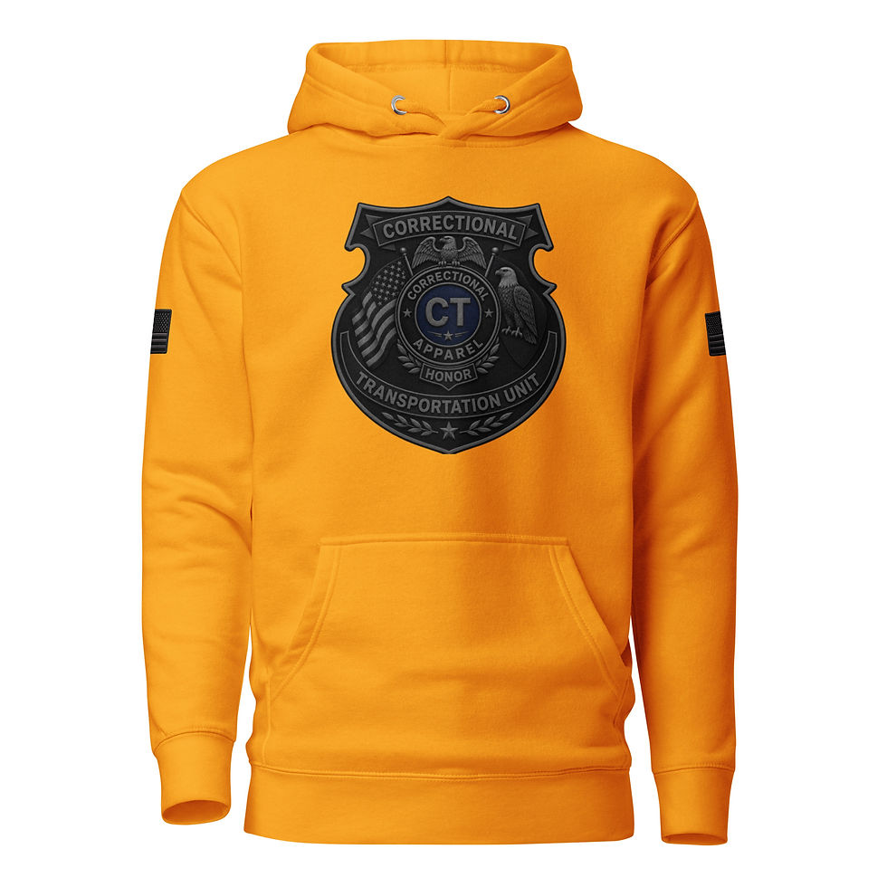 Thumbnail: Correctional Apparel CTU Blue Stealth logo Flag Unisex Hoodie