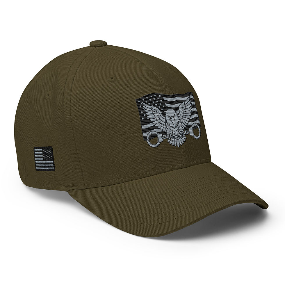 Thumbnail: Correctional Pro Veteran C/O Executive Cap