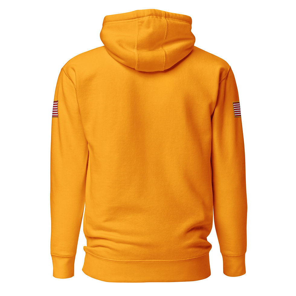 Thumbnail: YO C/O Retired Black/Gold logo USA Flag Unisex Hoodie