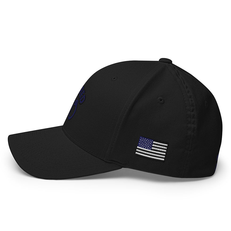 Thumbnail: Retired Arched CERT C/O Logo Cap