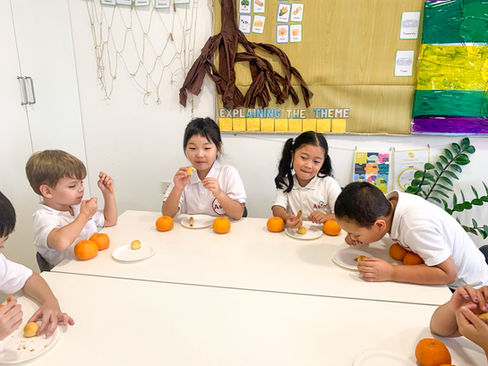 Students are eating oranges to celebrate Lunar New Year at Astor International School