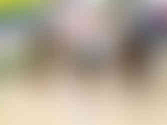 Students drawing at the table for Lunar New Year at Astor International School