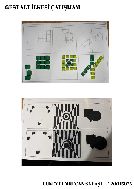 TEMEL TASARIM 2 GESTALT İLKESİ ÇALIŞMAM