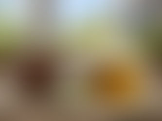 Kekik Çayı: Özellikleri, Sağlığa Etkileri ve Doğru Kullanım Yöntemleri