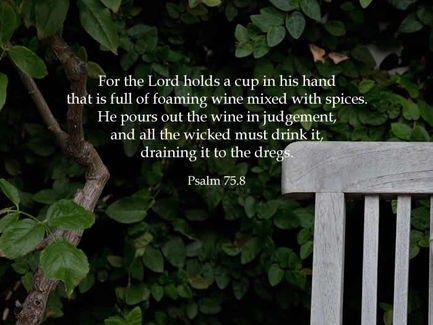 Daily Reflection: Psalm 75.8